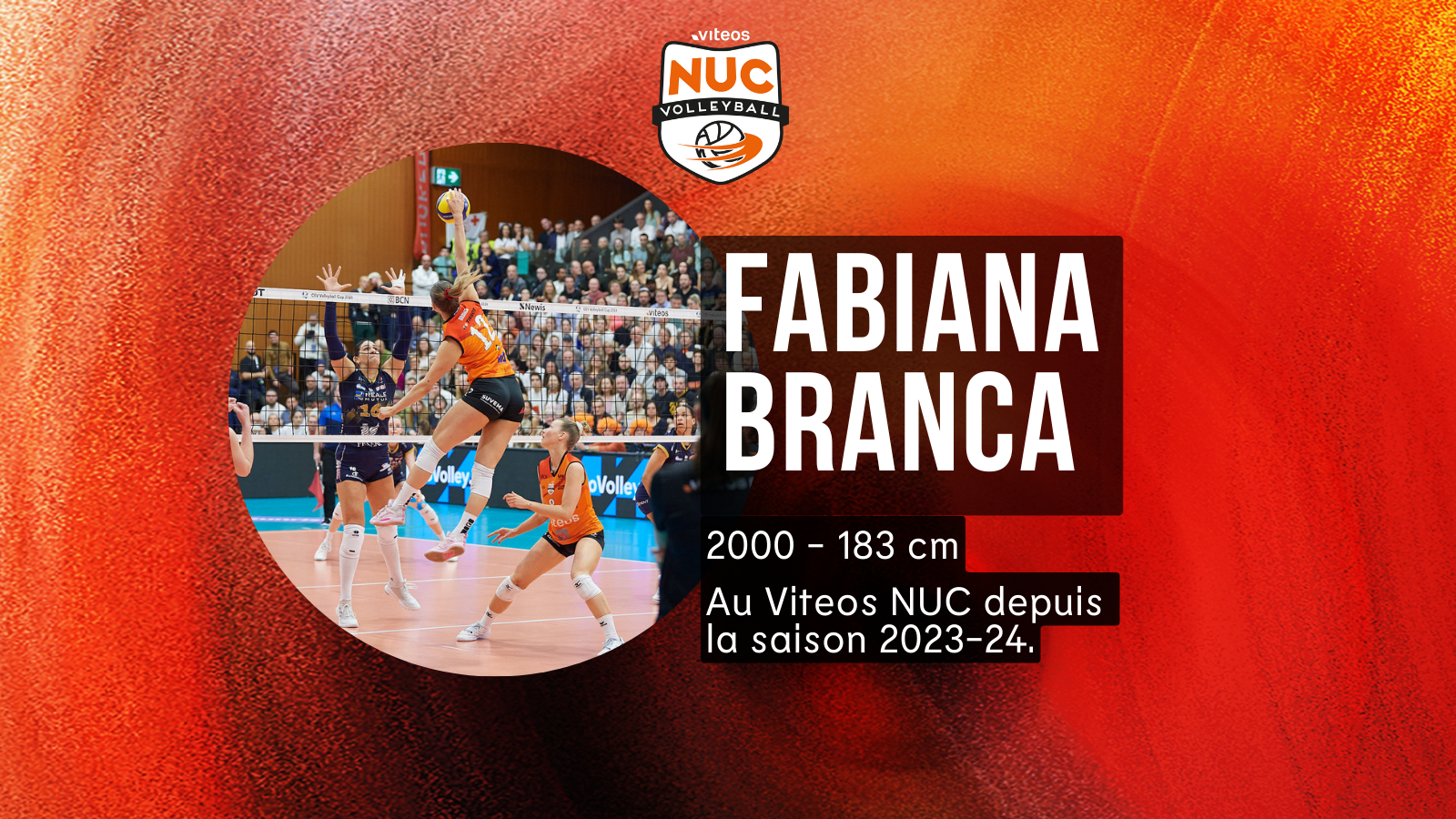 Fabiana2